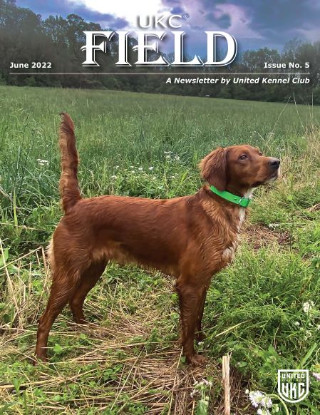 UKC Field June 2022 Cover