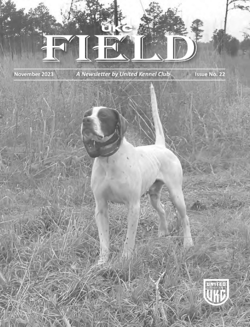 UKC Field November 2023 Cover