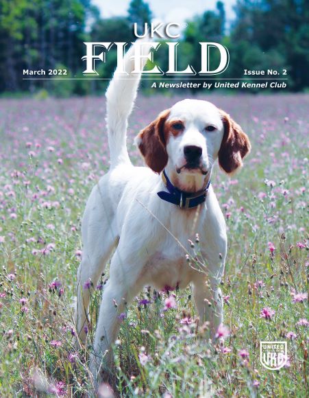 UKC Field March 2022 Cover Photo