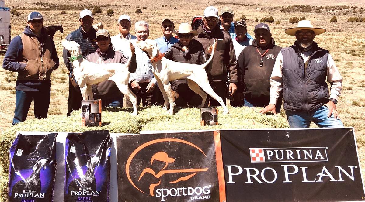 The Winners. From left: Judges Jason Staley & Talmage Smedley; Bridget Ledington w/ Knight's White Lady, Jim Ledington, Jim Morehouse, Mike Wilkin, Beth Owen w/ Lone Tree Splish Splash, Bill Owen, Sean Kelly, Kim Sampson, Brad LaVerne, Jared Tappero