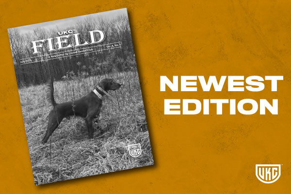July 2025 Newest Edition