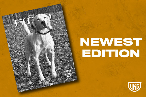 March 2026 UKC Field Cover