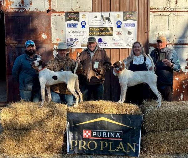 2026 Quail Creek FTC Horseback ABHA OD Winners