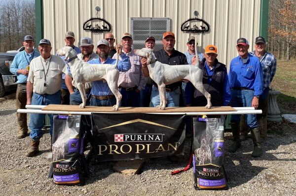 All America AA ChS26