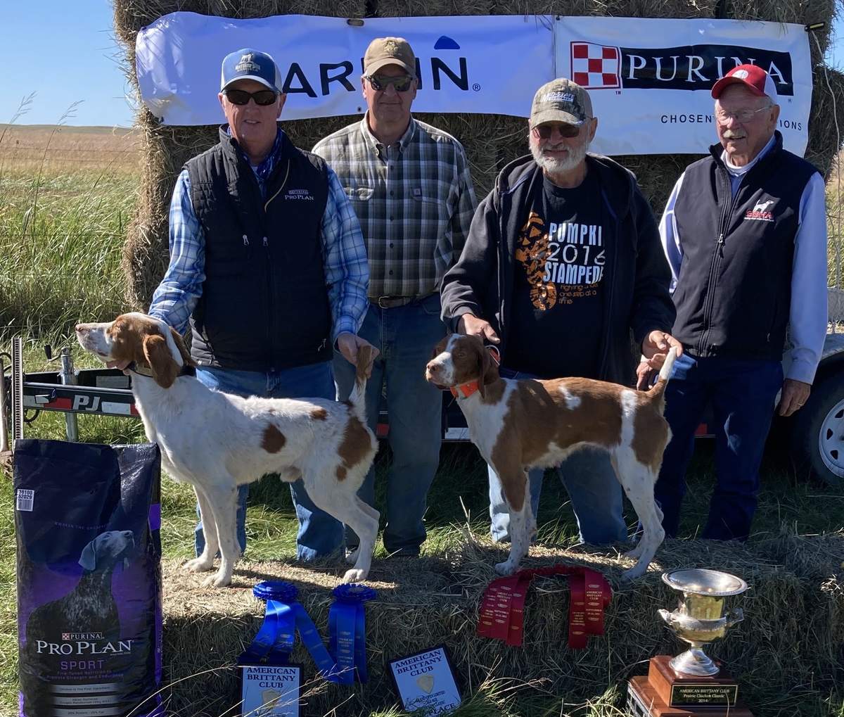 The Winners. From left: Piney Run Hill Top Blew with handler Kent Patterson and Jagoub's Spell Caster with Tom Jagelielski. Behind are Judges Keith Bryant and C. W. "Bud" Moore.
