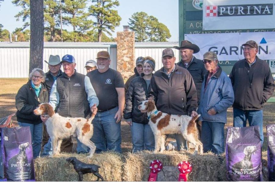 American Brittany Club National Amateur Championship