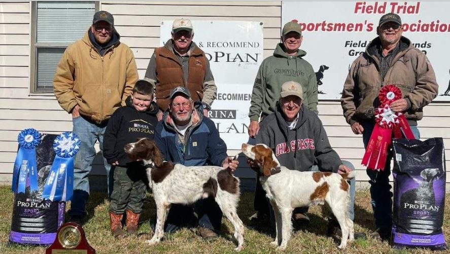 American Brittany Club Quail Championship