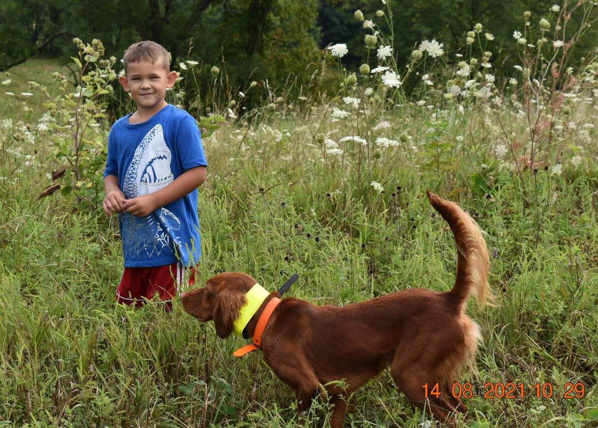 Beaver Valley Pointer and Setter Club 4