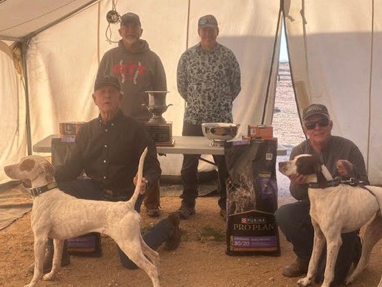 California Bird Dog ChS26