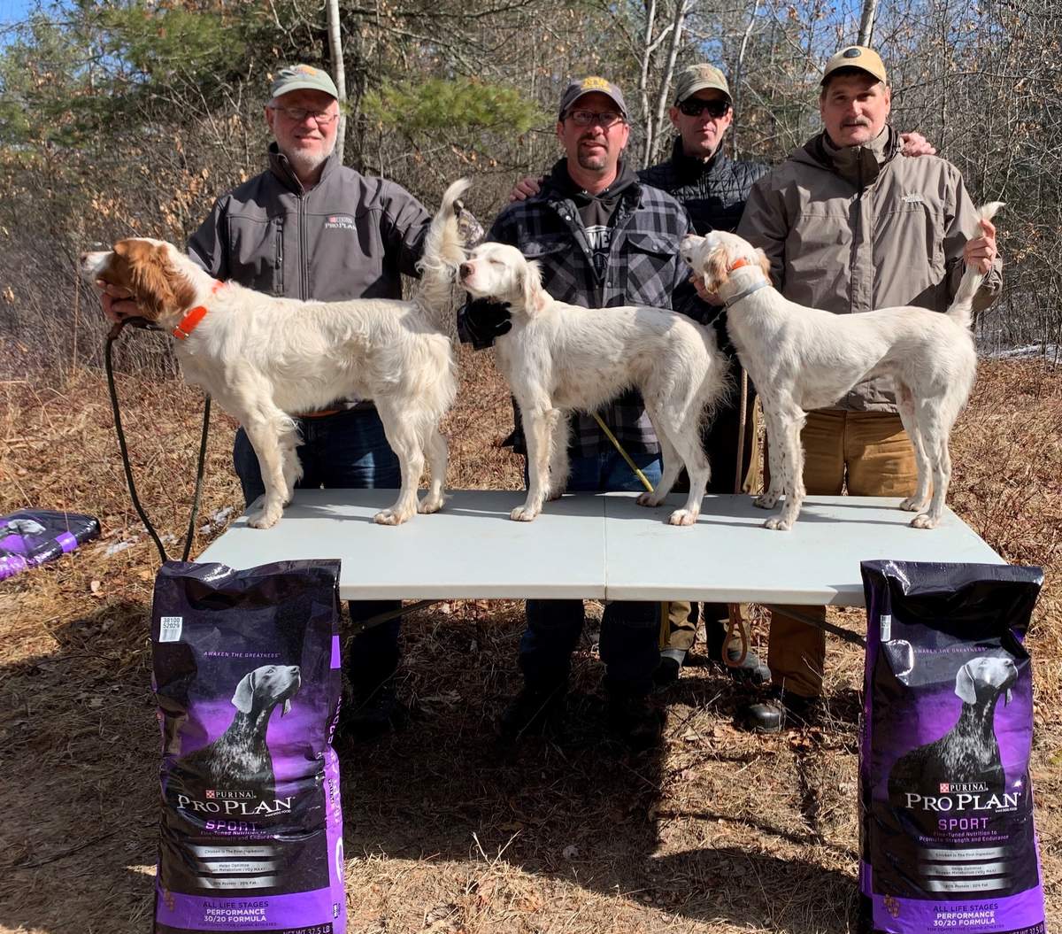 Open Shooting Dog Winners. From left: Mike Luebke with Rebellious Fearless Fred, Tim Kaufman with Northern Slopes Bell, Ed Graddy (behind) and Sig Degitz with Northern Slopes Allie