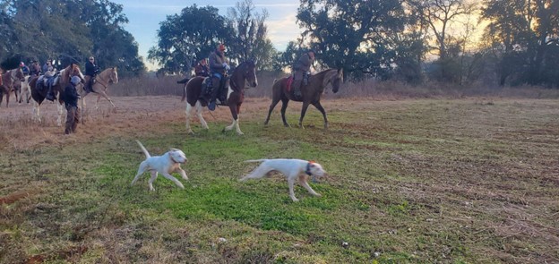 Continental Derby breakawayS26