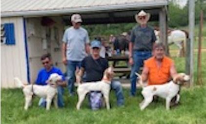 Amateur Shooting Dog Winners