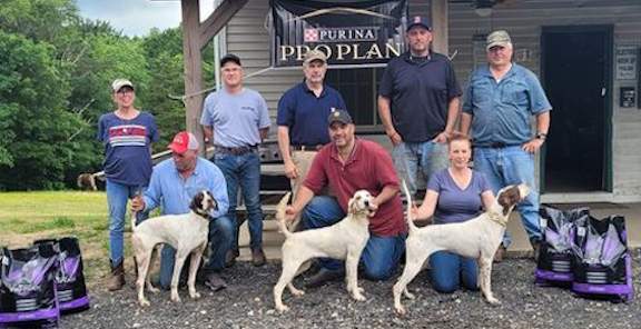 English Setter Club of America