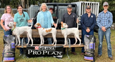 Florida Everglades APS26