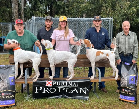 Florida Everglades ASDS26