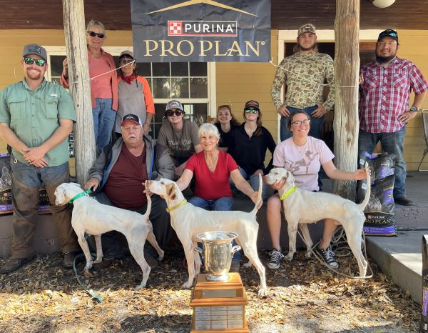 Florida Shooting dog Puppy Derby ClassicS26