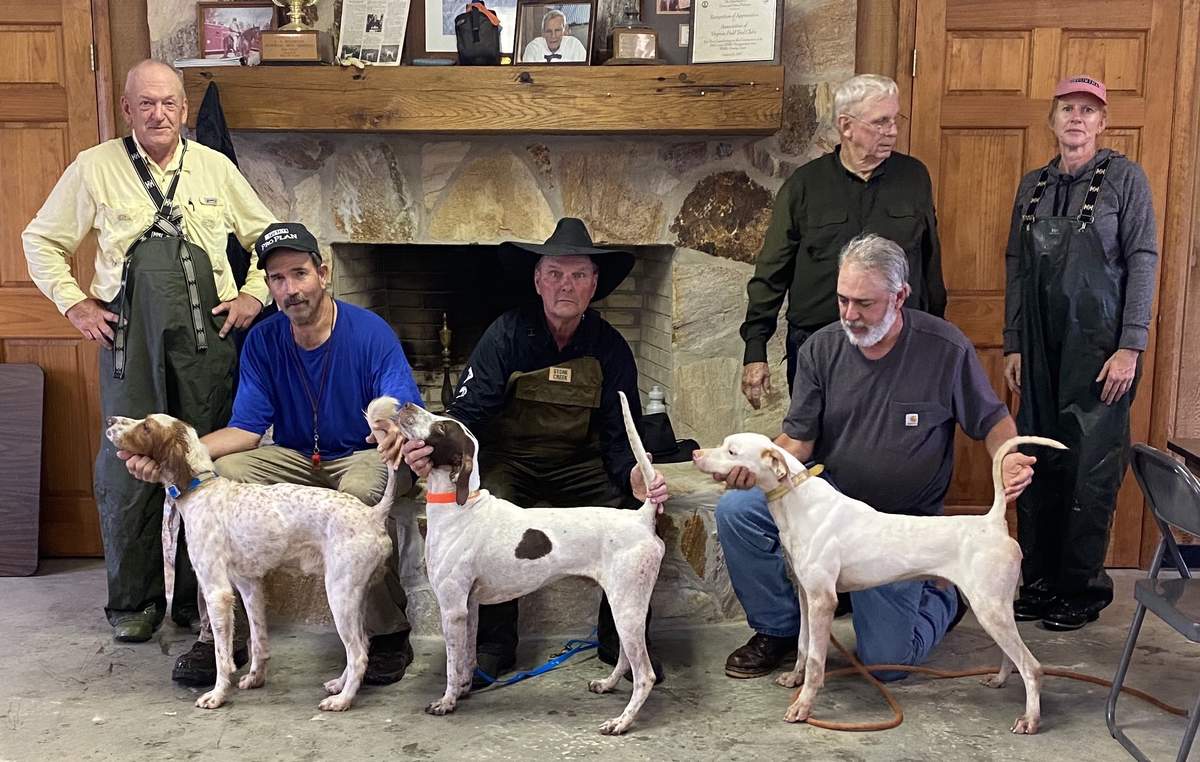 Amateur shooting dog winners