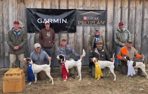 Grand National Puppy ClassicS25