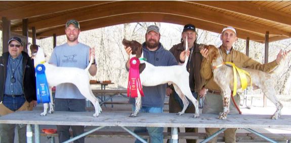 Amateur Walking Shooting Dog Winners