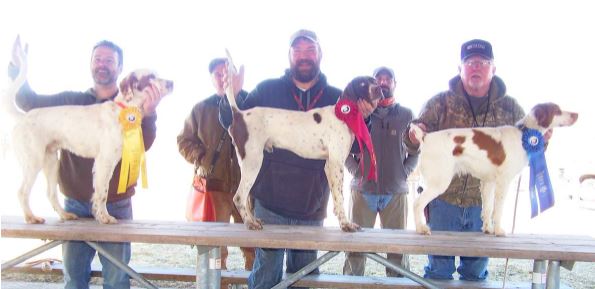 Open Walking Puppy Winners