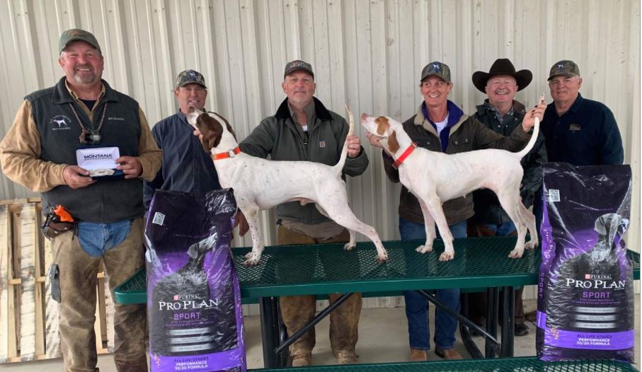 International Endurance Shooting Dog Championship