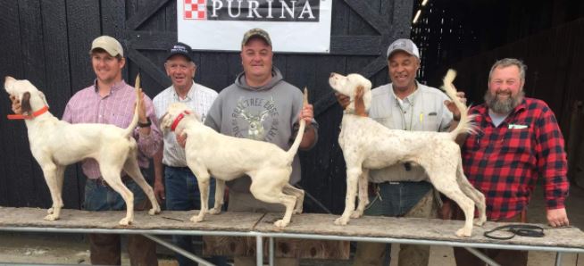 Open Derby Winners. Left to right: Como Thunder with David Russell, Judge Bill Vest, Lone Tree Doc with Robert Whill, Bozeann's Rex with Mike Hester, and Judge Ronnie Rogers