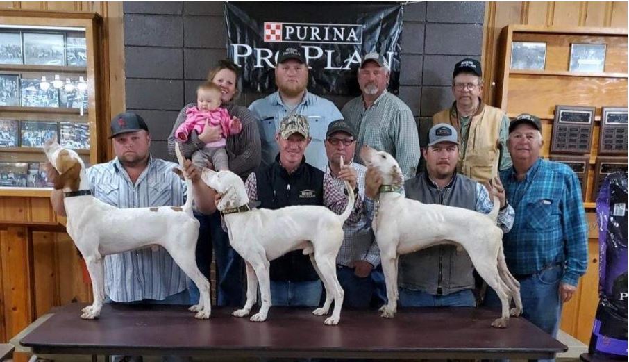 Kentucky Quail Open All-Age Classic and Derby