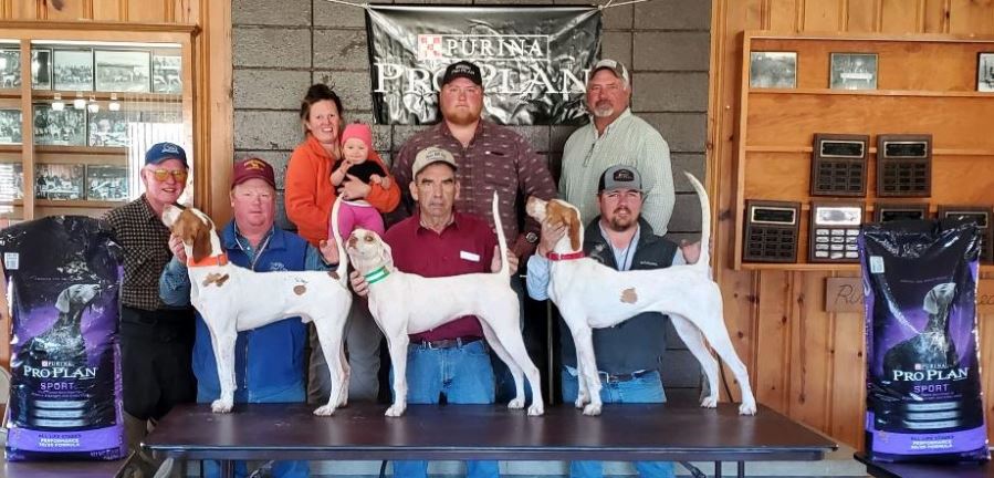 Kentucky Quail Open All-Age Classic and Derby