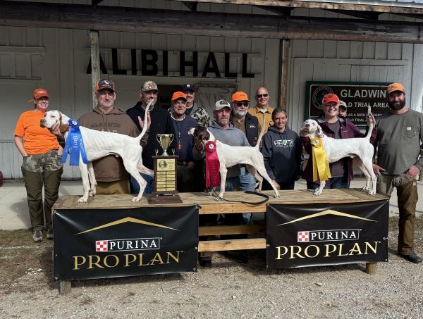 Michigan Woodcock ODF25