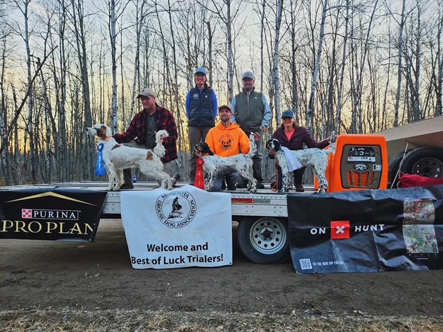 Minnesota Grouse ODS26
