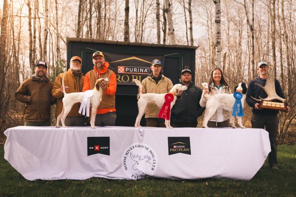 Moose Shooting DogS26