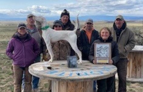 Runner Champion. From left: Bridget Ledington, Jim Ledington, Alex Mauck with Lone Tree Splish Splash, owner Bill Owen, Judge Matt Solt, Emily Deasy, and Judge Tim Schilleriff