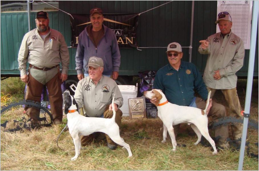 National Amateur Pheasant Shooting Dog Championship