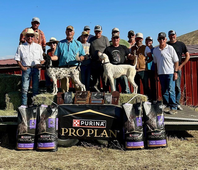 National Amateur Chukar Shooting DogF25