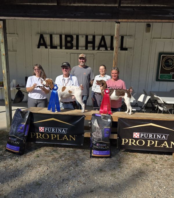 National Brittany Open Grouse ChF25