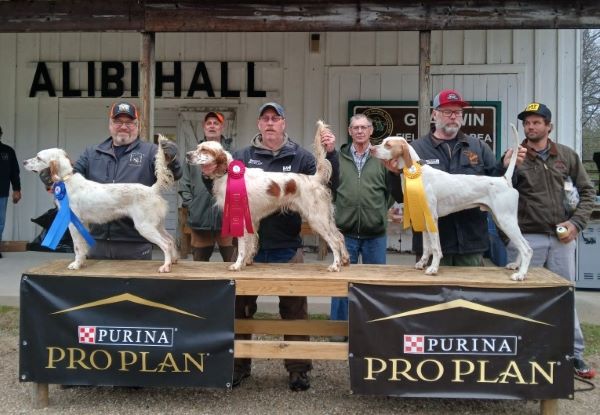National Brittany Open Grouse ODS24
