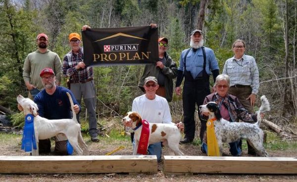 National Brittany Open Grouse OSDS24