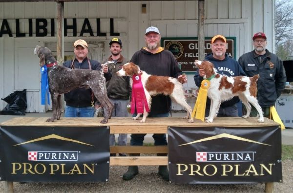 National Brittany Open Grouse ROSDS24