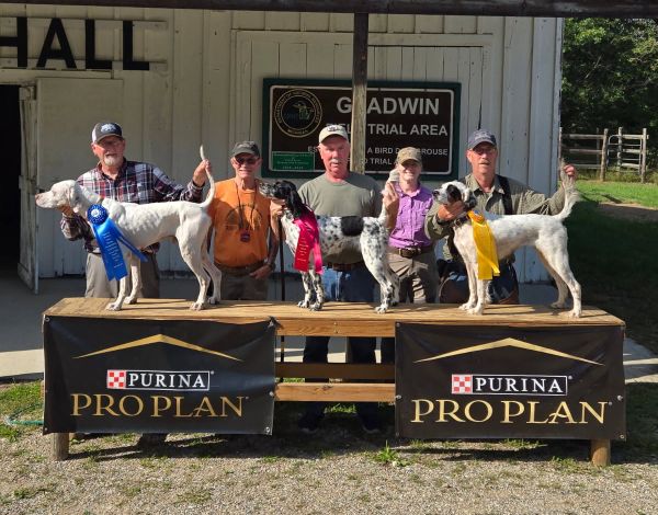 national brittany OSDF26