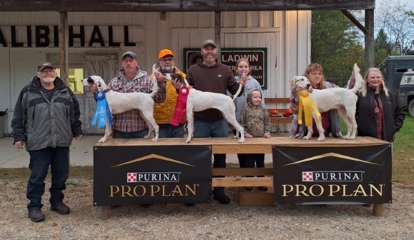 natl brittany open grouse opf23