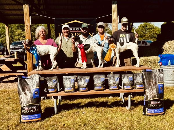 NBHA Sharptail PuppyF25