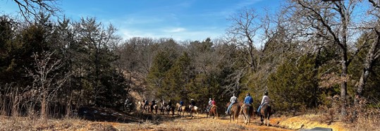 NBHA Western Reg. GalleryS26
