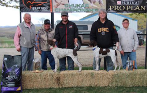 Amateur Shooting Dog Winners