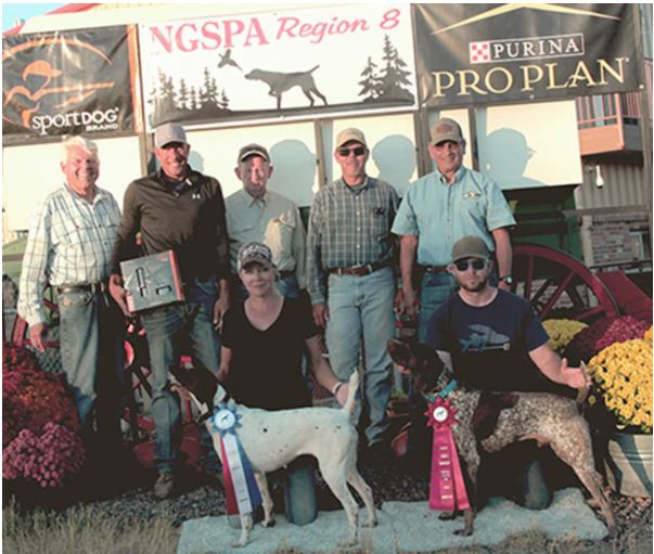 Amateur shooting dog winners