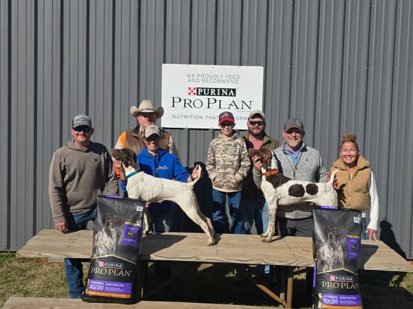 NGSPA Reg 16 Shooting Dog ChS26-