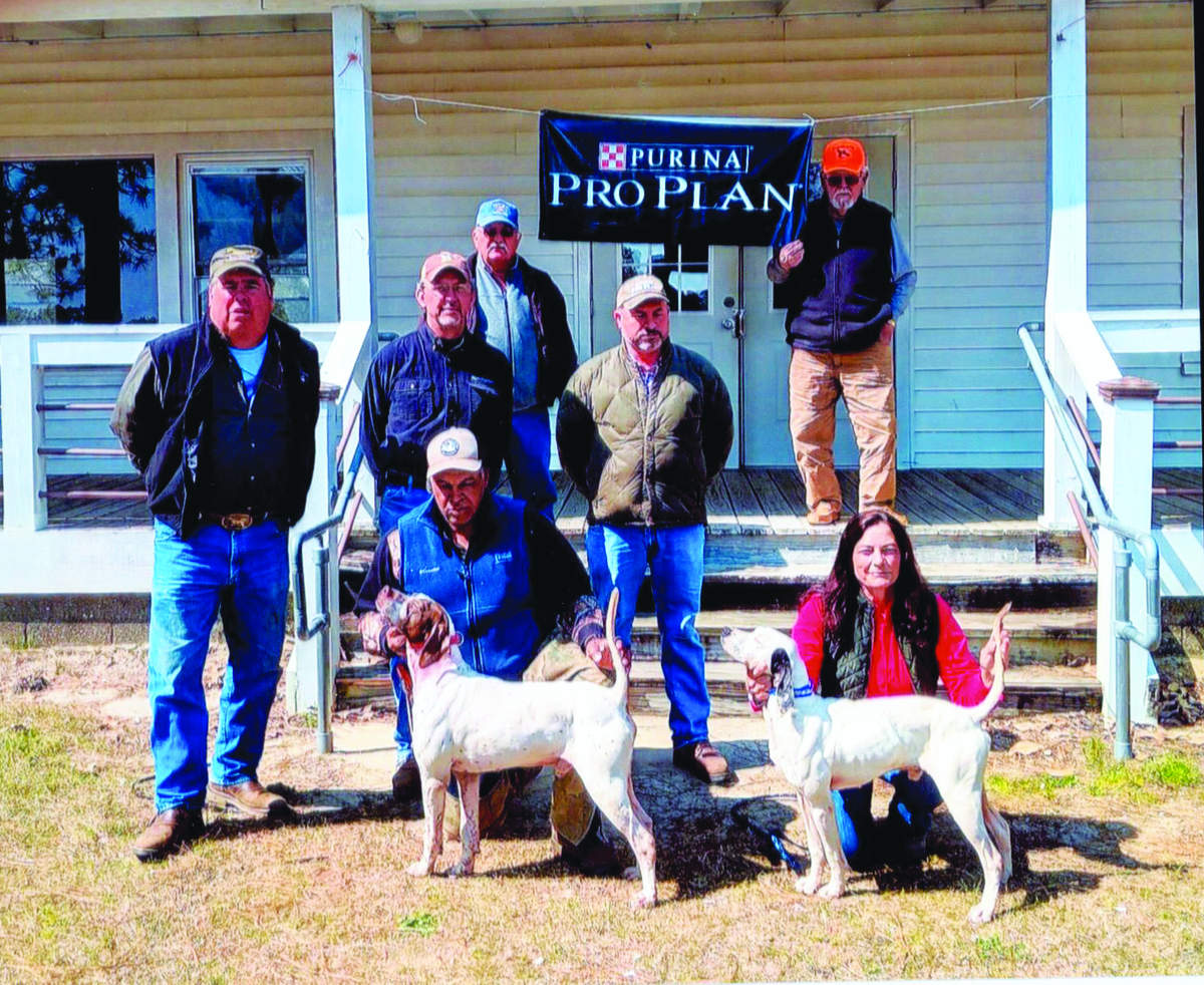 north-carolina-quail-ch