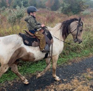 Northeastern Open Ch Owen MaloneF25