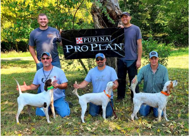 Amateur walking shooting dog winners