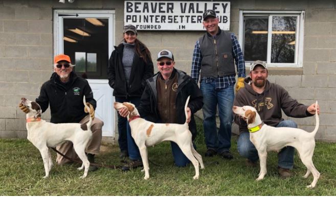 Amateur Shooting Dog Winners