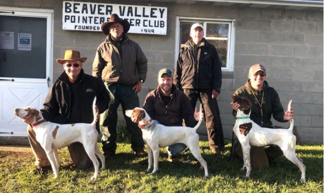 Walking Shooting Dog Stake Winners